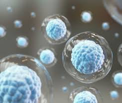 Exosomes en skincare : illustration de vésicules cellulaires utilisées dans les soins anti-âge pour améliorer l’apparence de la peau.
