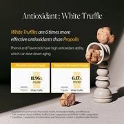https://cdn.shopify.com/s/files/1/0568/9802/7638/files/Artboard1_1000x_c323debf-6fd0-4177-bf93-56913ae01012.webp?v=1751385924