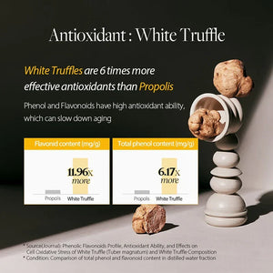 https://cdn.shopify.com/s/files/1/0568/9802/7638/files/Artboard1_1000x_c323debf-6fd0-4177-bf93-56913ae01012.webp?v=1751385924