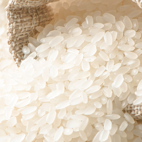 https://cdn.shopify.com/s/files/1/0254/3022/9055/files/ingredietns_0000_Layer-Comp-1.png?v=1737452462