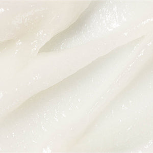 https://cdn.shopify.com/s/files/1/0568/9802/7638/files/texture0002.jpg?v=1751270783